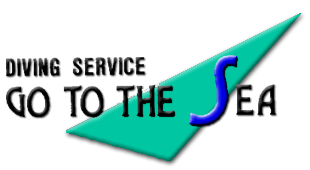 GO�@TO�@THE�@SEA �l�@�z�[���y�[�W��